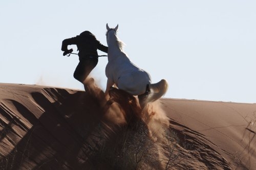Tornado and the Kalahari Horse Whisperer : Fotoğraf