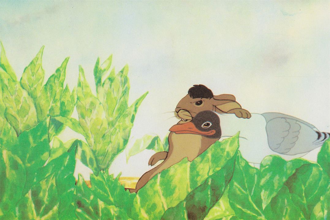 Watership Down : Fotoğraf