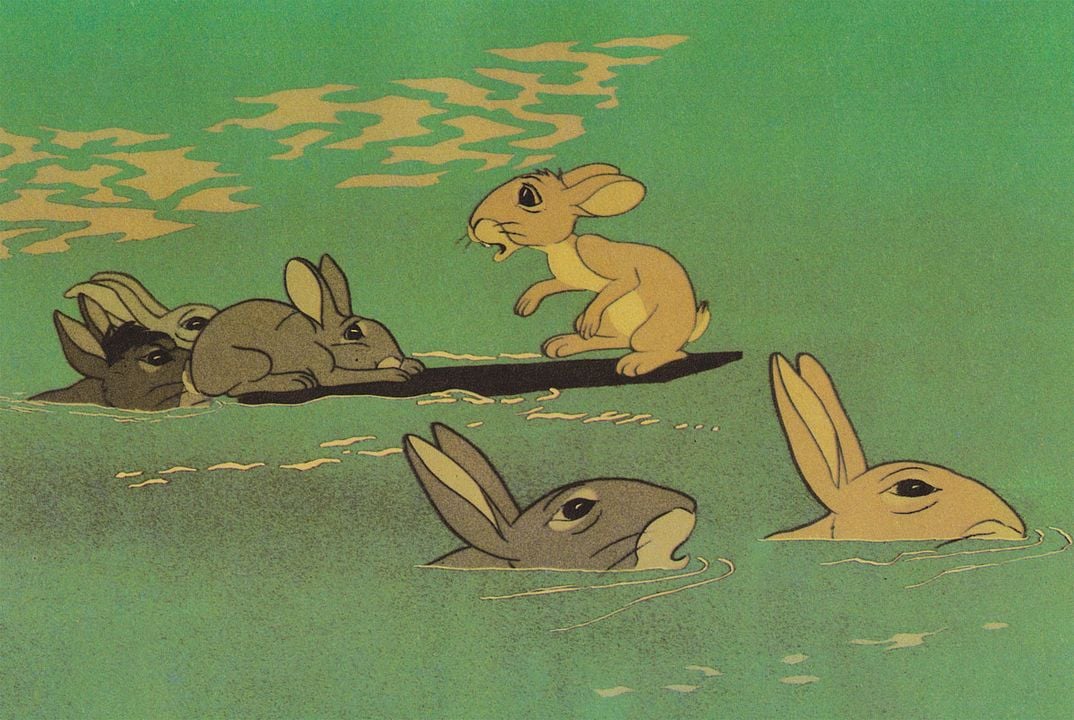 Watership Down : Fotoğraf