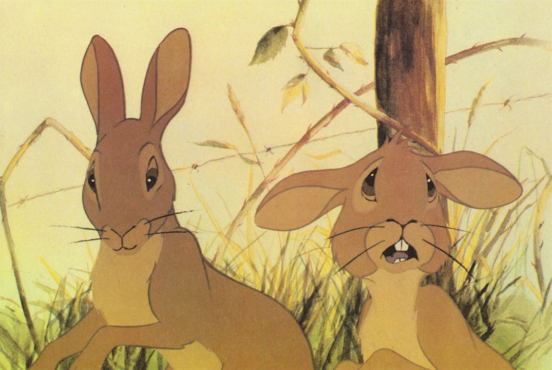 Watership Down : Fotoğraf