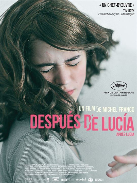 Después de Lucía : Afiş