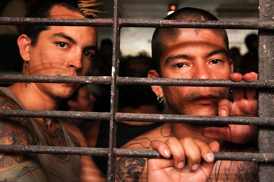 Get the Gringo : Fotoğraf