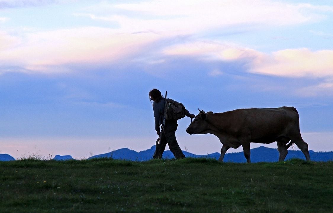 Duvar : Fotoğraf