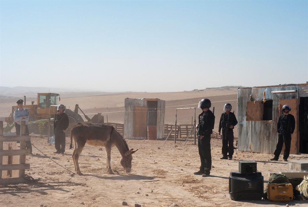 Sharqiya : Fotoğraf