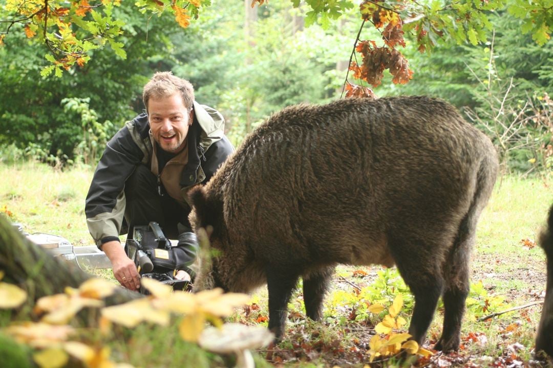 Das grüne Wunder - Unser Wald : Fotoğraf