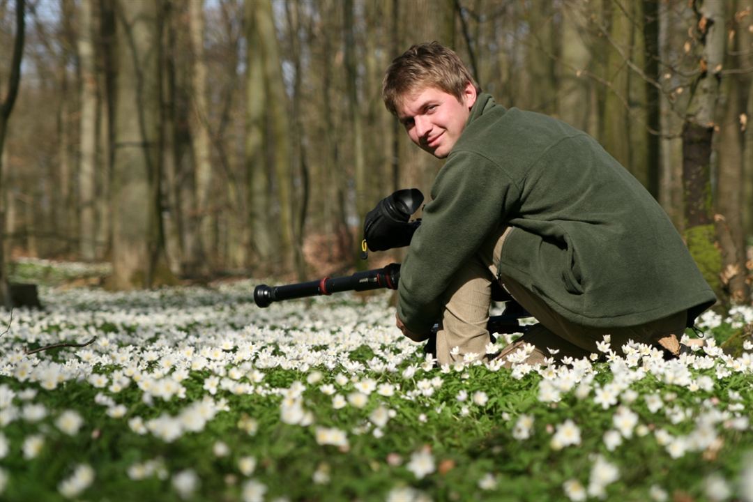 Das grüne Wunder - Unser Wald : Fotoğraf