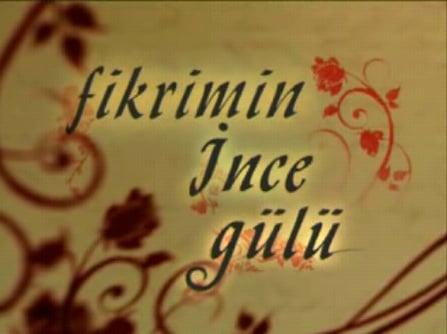 Fikrimin İnce Gülü : Afiş