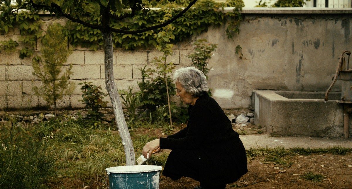 Babamın Sesi : Fotoğraf