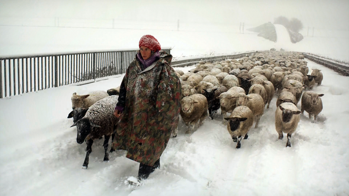 Hiver nomade : Fotoğraf