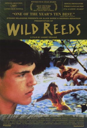 Wild Reeds : Afiş