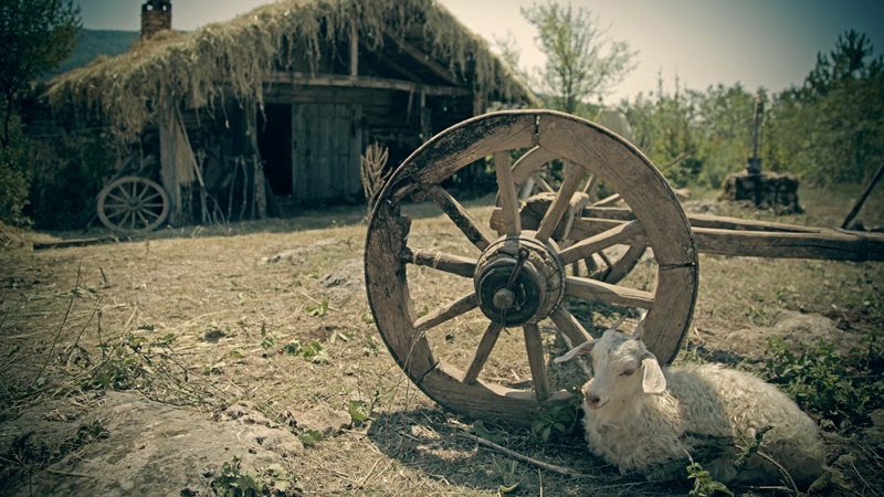 Mahmut ile Meryem : Fotoğraf