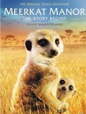 Meerkat Manor: The Story Begins : Afiş