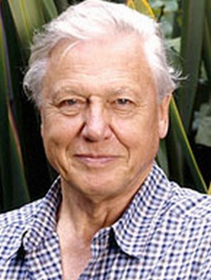 Afiş David Attenborough