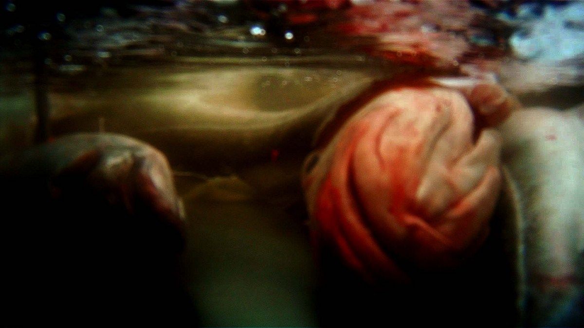 Leviathan : Fotoğraf