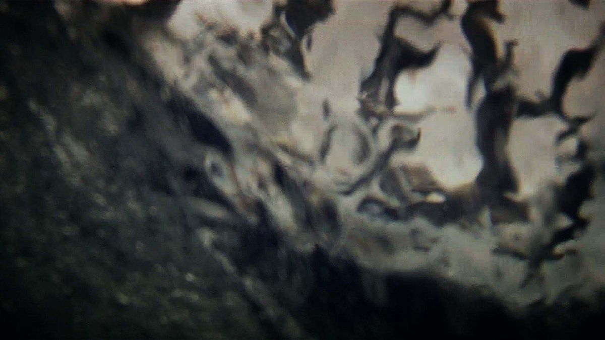 Leviathan : Fotoğraf