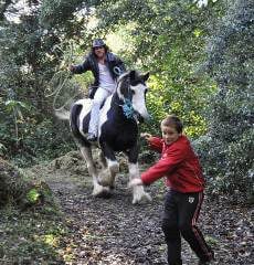 King of the Travellers : Fotoğraf