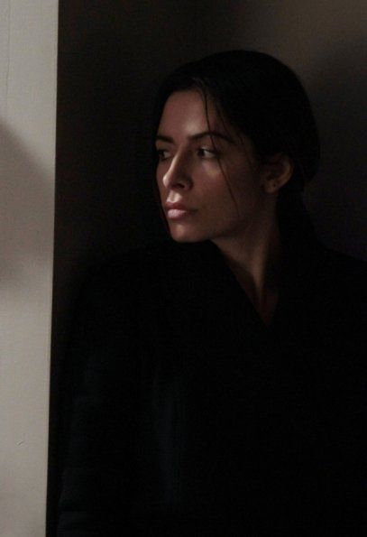Fotoğraf Sarah Shahi