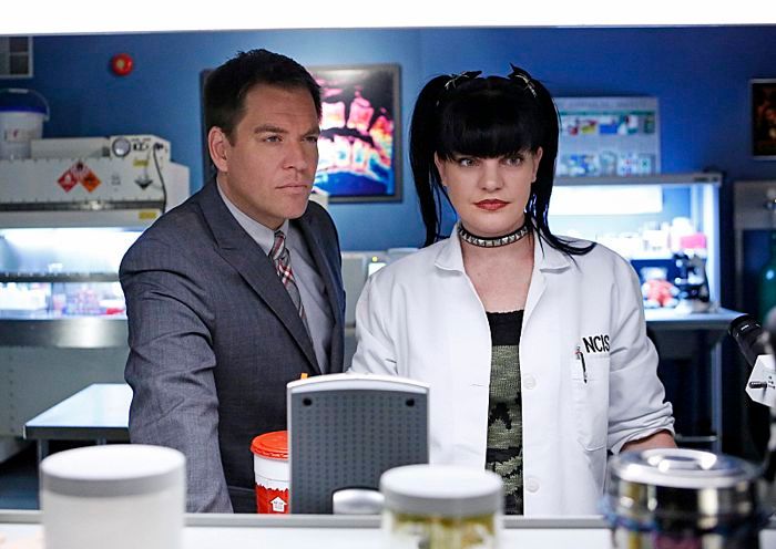 Fotoğraf Michael Weatherly, Pauley Perrette