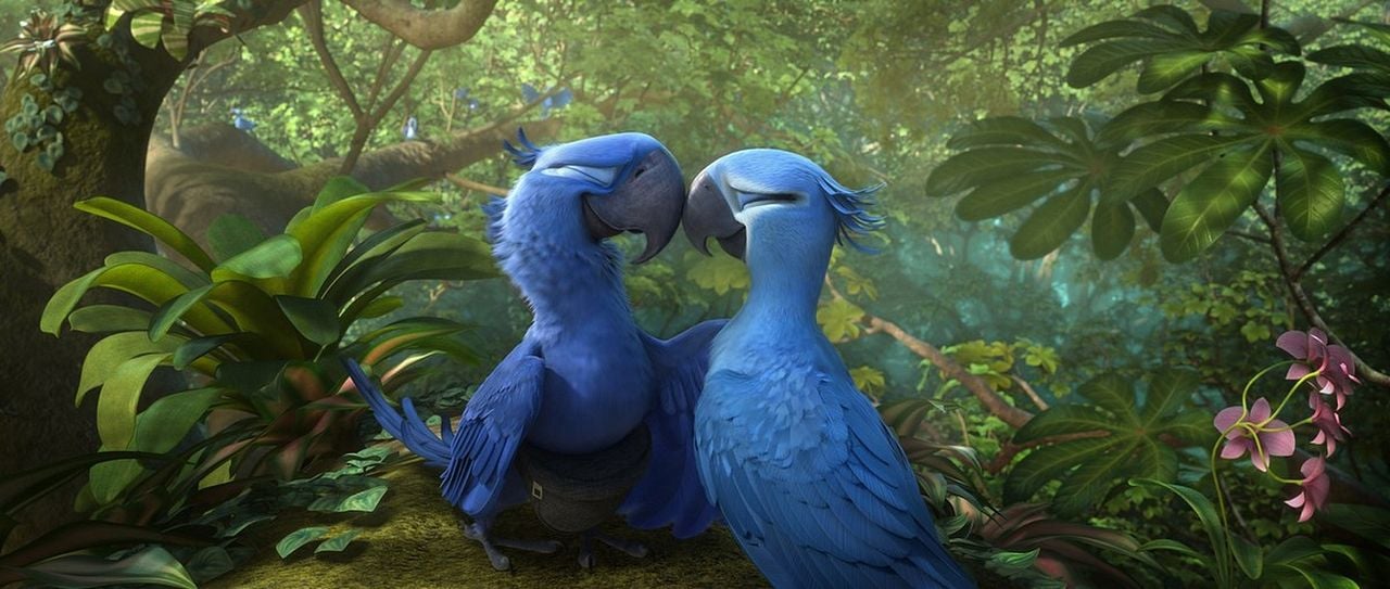 Rio 2 : Fotoğraf