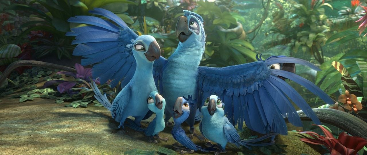 Rio 2 : Fotoğraf