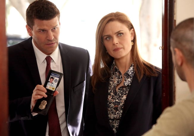 Fotoğraf David Boreanaz, Emily Deschanel