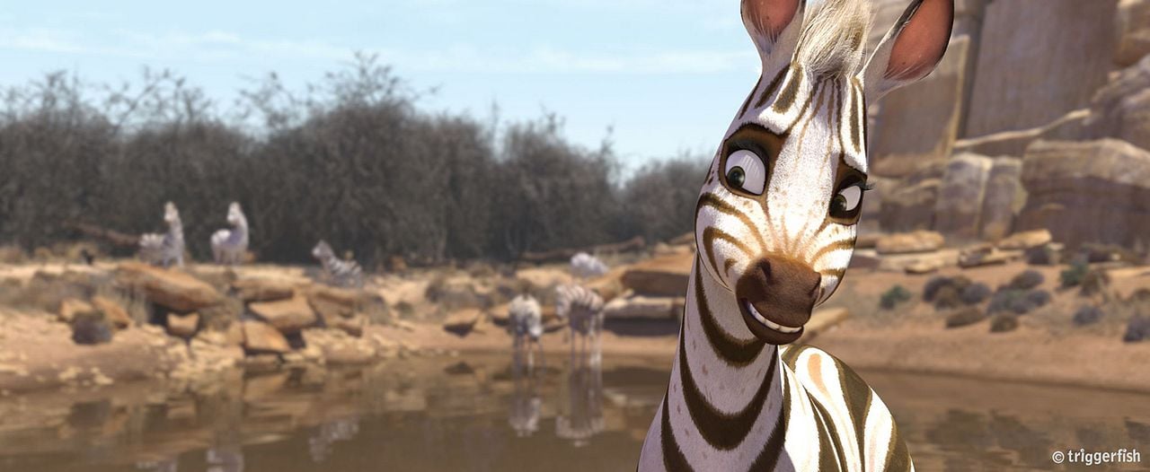 Cesur Zebra : Fotoğraf