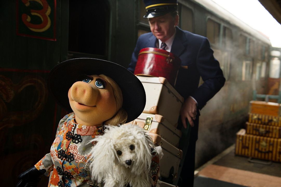 Muppets Aranıyor : Fotoğraf
