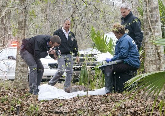 Fotoğraf Scott Bakula, Mark Harmon