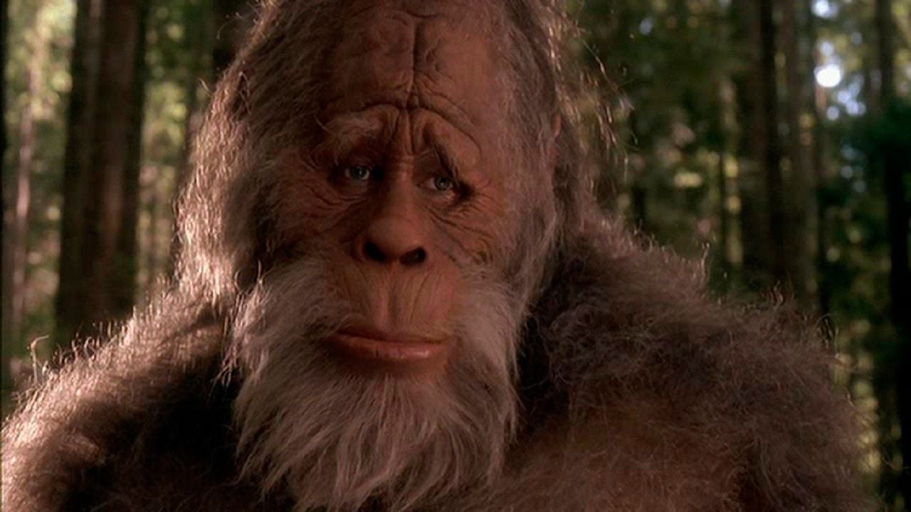 Harry and the Hendersons : Fotoğraf