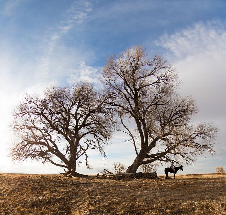 The Homesman : Fotoğraf