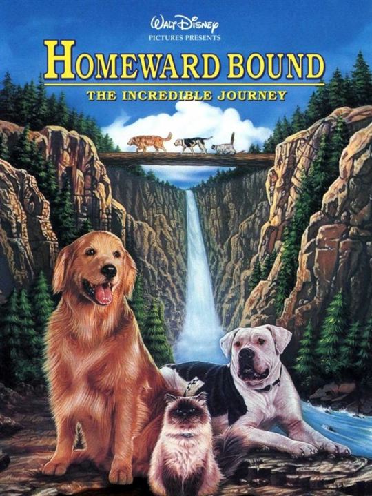Hoomeward Bound : The Incredible Journey : Afiş