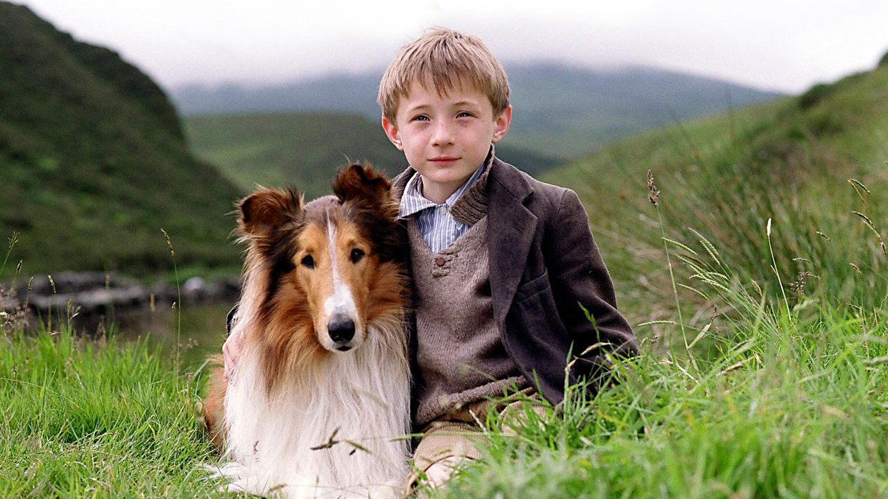 Lassie : Fotoğraf
