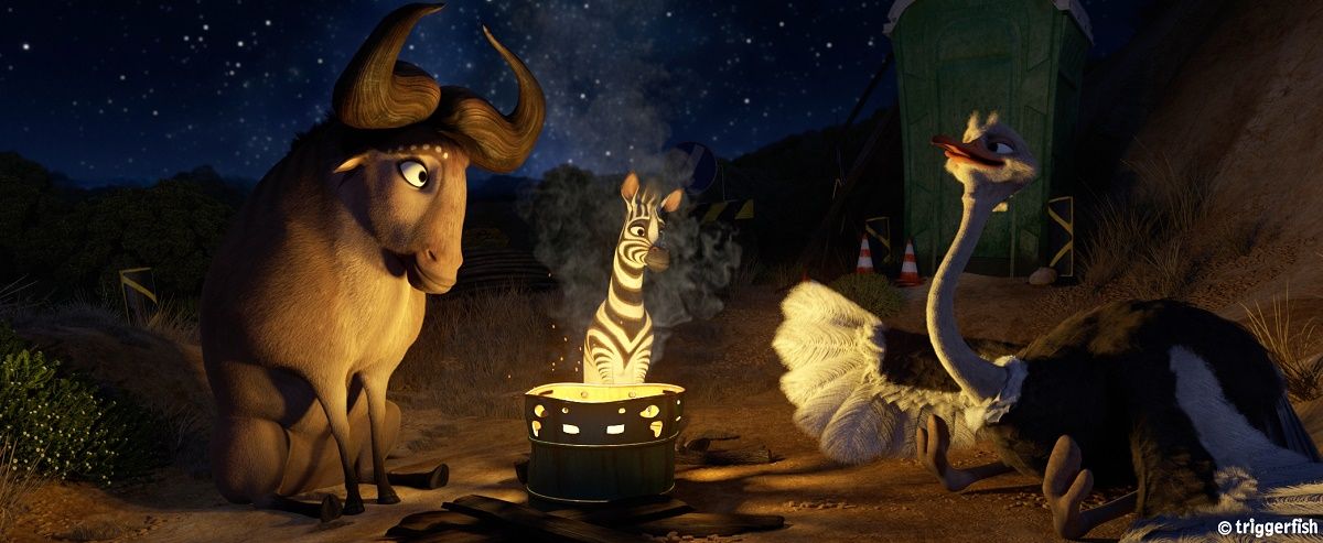 Cesur Zebra : Fotoğraf