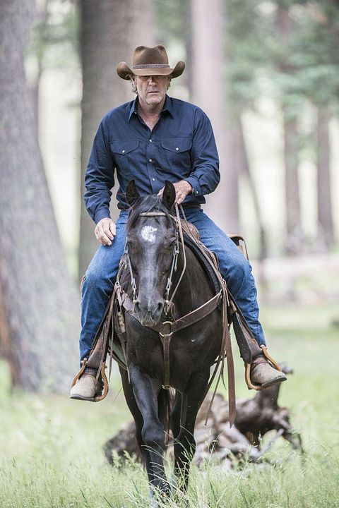 Fotoğraf Robert Taylor (II)