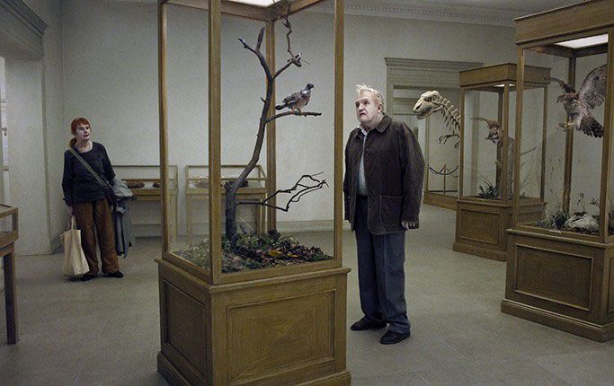 İnsanları Seyreden Güvercin : Fotoğraf Nisse Vestblom