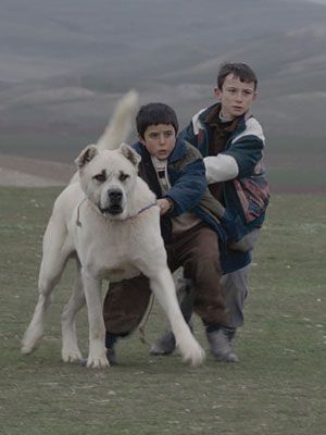 Sivas : Afiş
