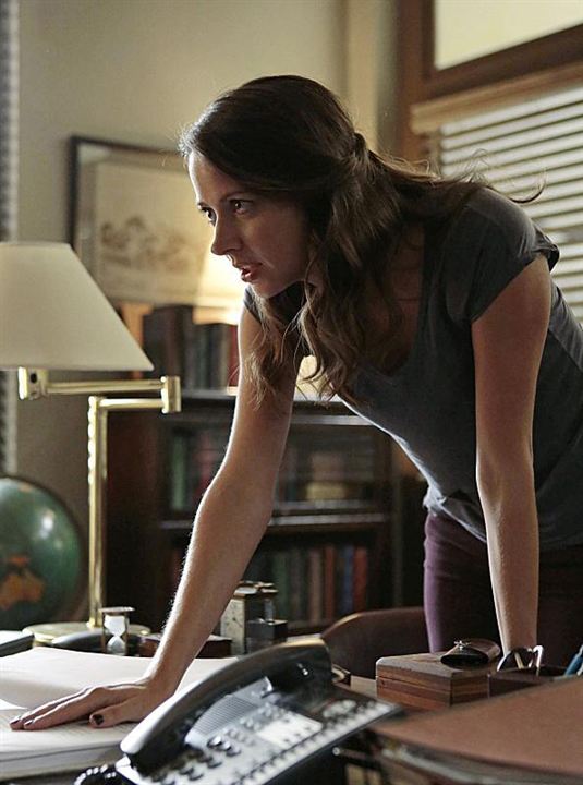 Person Of Interest : Fotoğraf Amy Acker