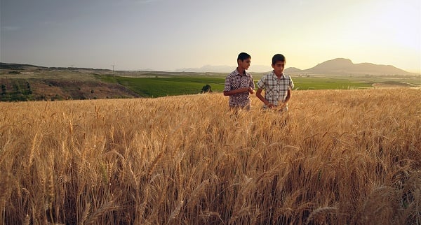 Biz Babasız Büyüdük : Fotoğraf