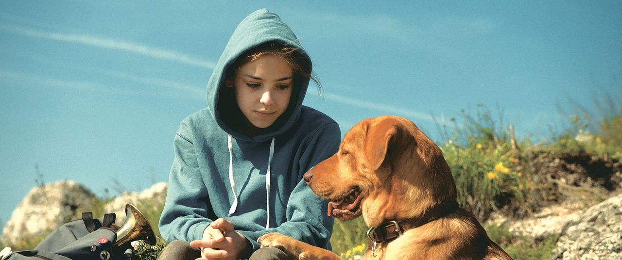 Beyaz Tanrı : Fotoğraf Zsófia Psotta