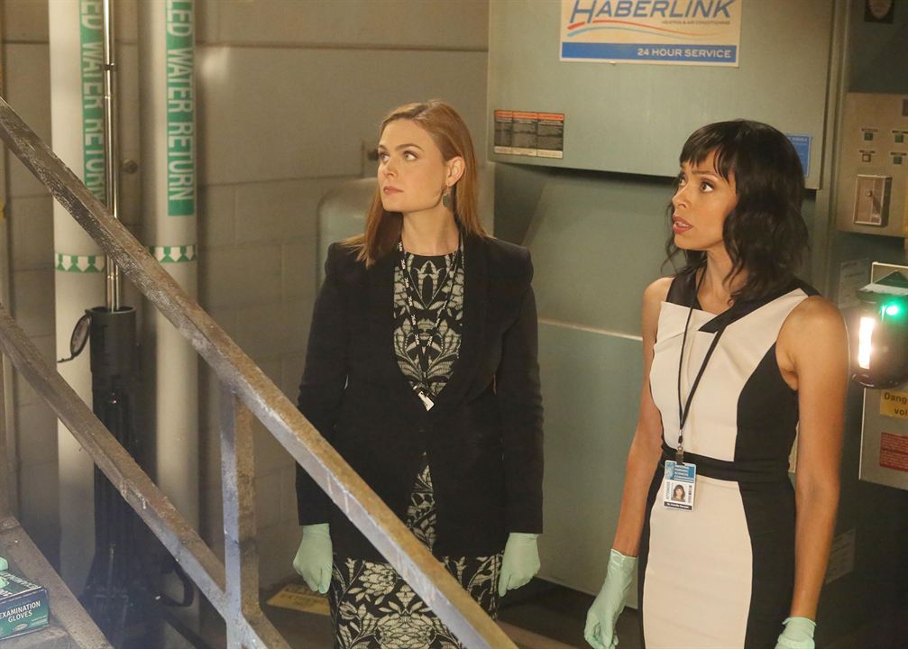 Bones : Fotoğraf Tamara Taylor, Emily Deschanel