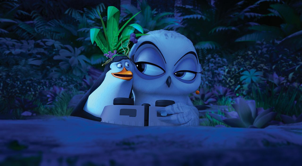 Madagaskar Penguenleri : Fotoğraf