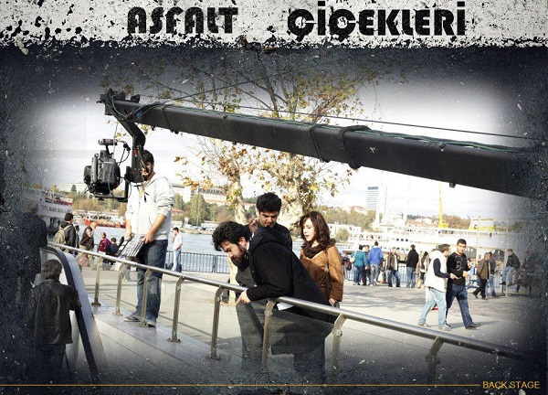 Asfalt Çiçekleri : Fotoğraf