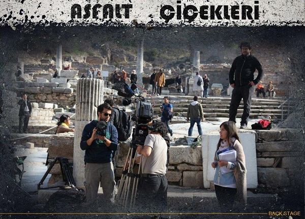 Asfalt Çiçekleri : Fotoğraf