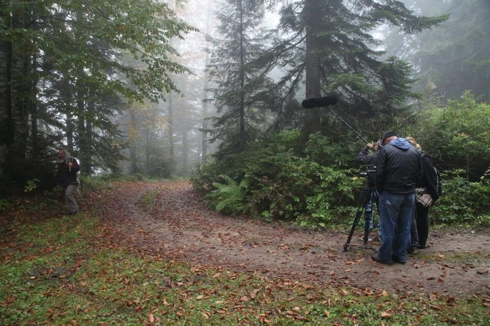 Kırlangıçlar Susamışsa : Fotoğraf