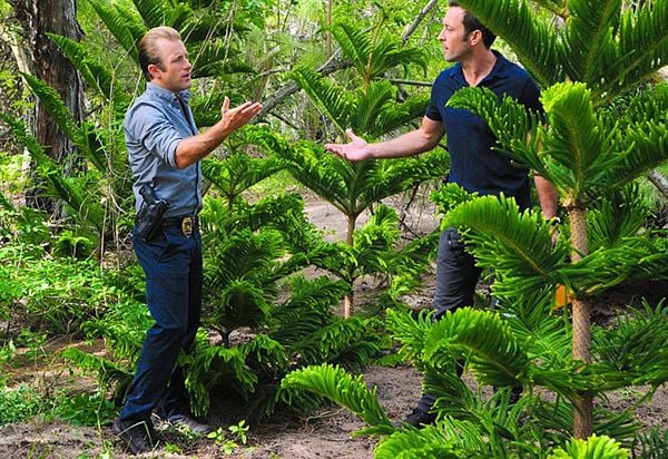 Fotoğraf Scott Caan, Alex O'Loughlin