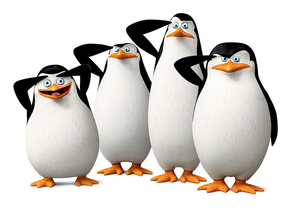 Madagaskar Penguenleri : Fotoğraf