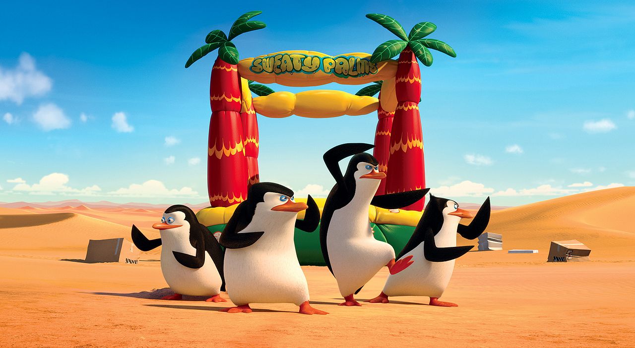 Madagaskar Penguenleri : Fotoğraf