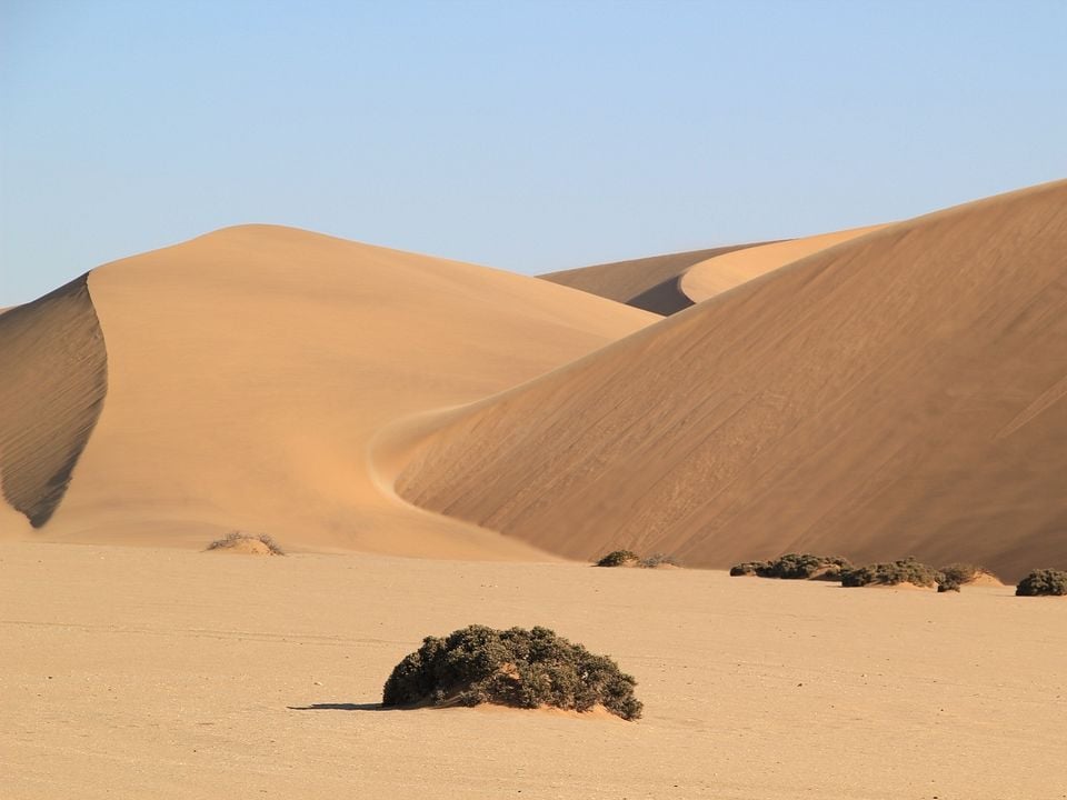 Safari Macerası : Fotoğraf