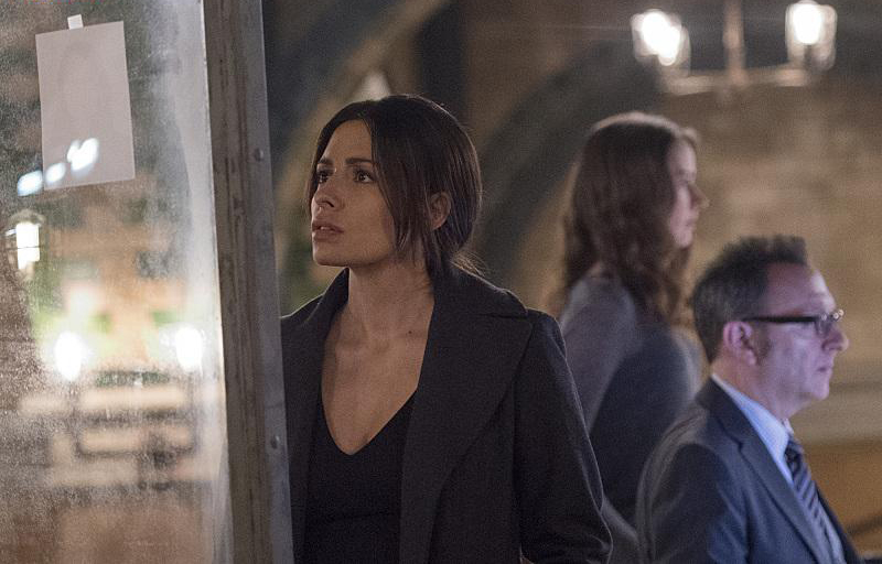 Person Of Interest : Fotoğraf Sarah Shahi