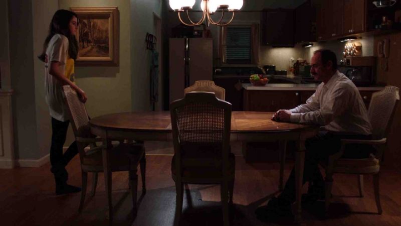 Karda Bir Beyaz Kuş : Fotoğraf